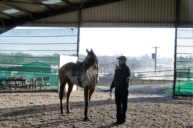 How to Find a Good Horse Trainer: A Guide to Horse Trainers - The Horse ...