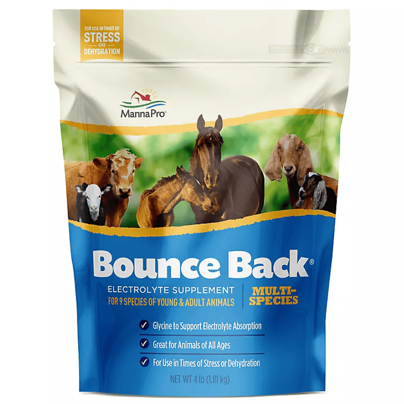 manna pro bounce back electrolyte