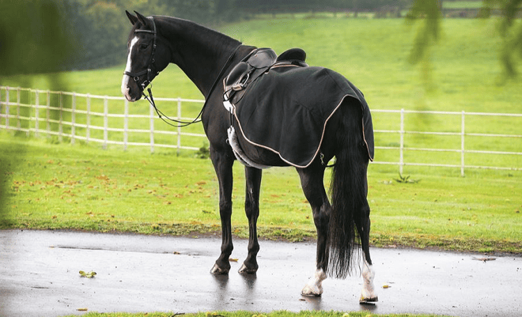 Rambo Waterproof Quarter Sheet