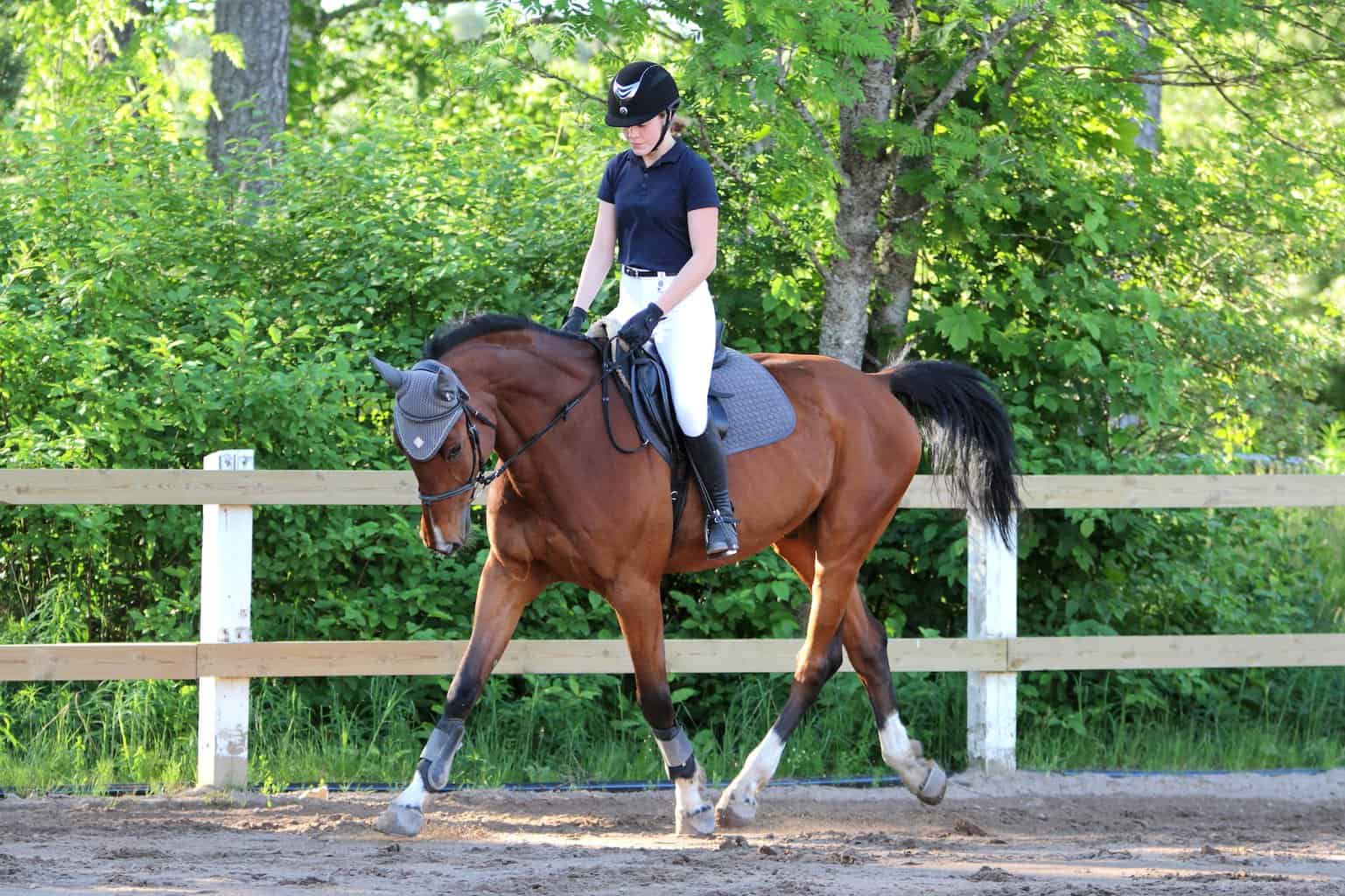 rider with helmet on a horse