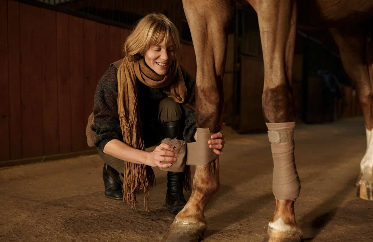 Woman Horse Owner Putting Bandage On Animal