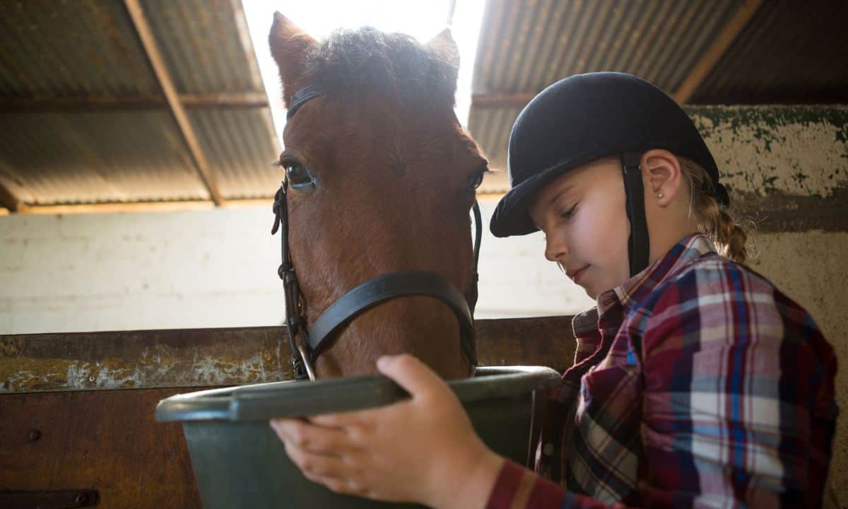 Best Supplements for Horse with Loose Droppings My Top 5 Picks [2023]