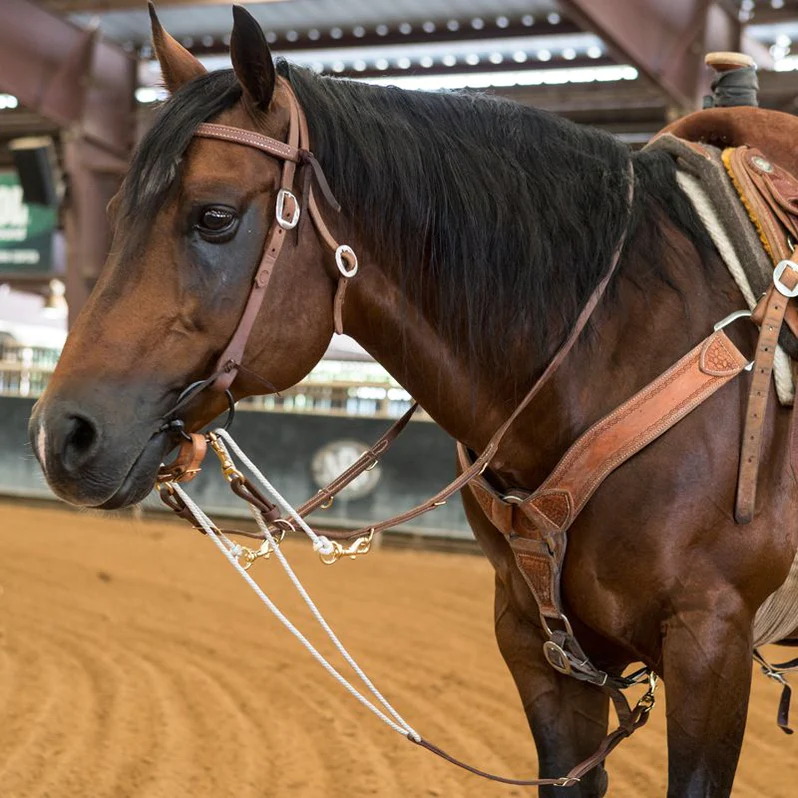 German Martingale horse