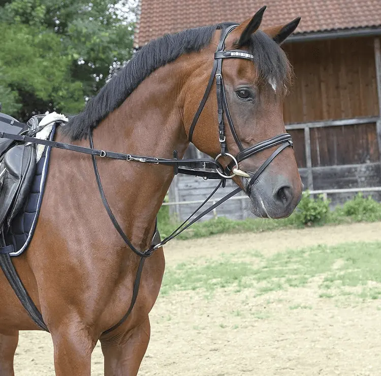 buyer’s guide for a german martingale