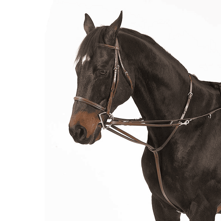 camelot german martingale rein set