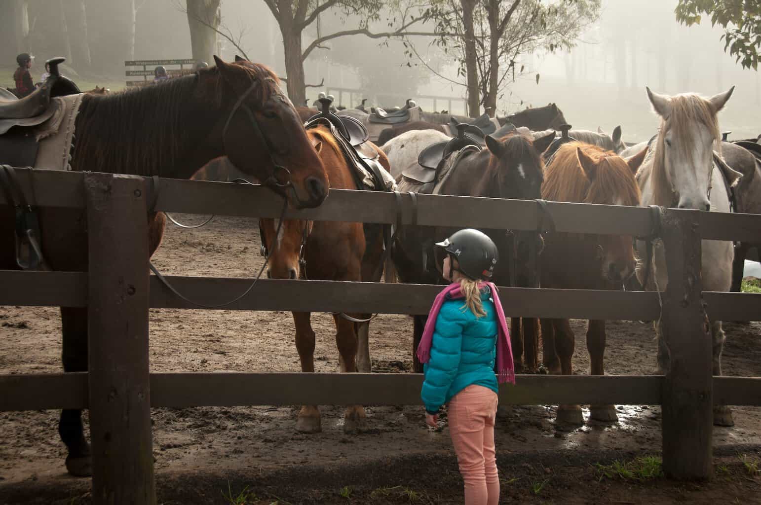 child and horses