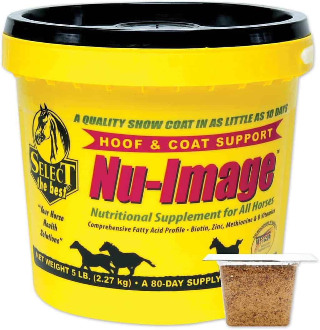 dark horse nu-image hoof & coat support for horses Best Horse Hoof Supplements