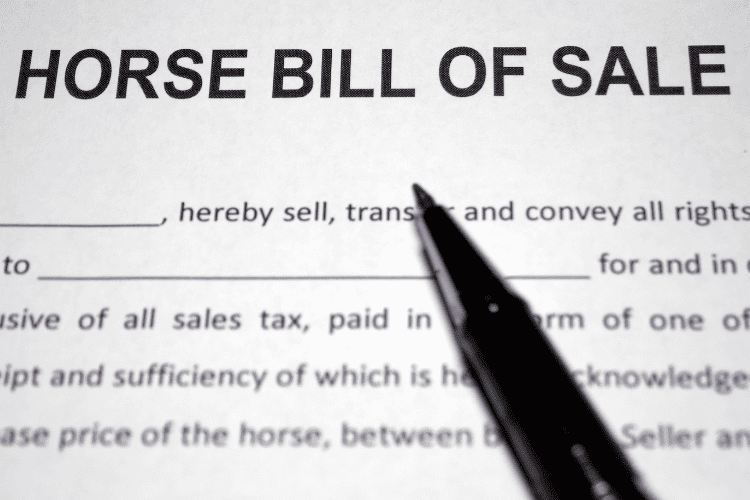 horse bill of sale