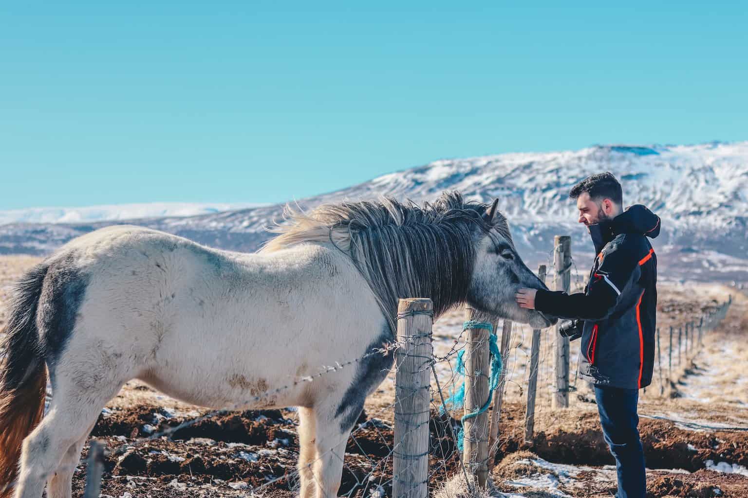 master and his horse