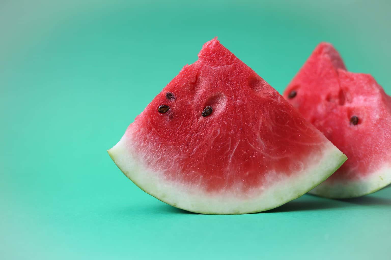 watermelon for horses